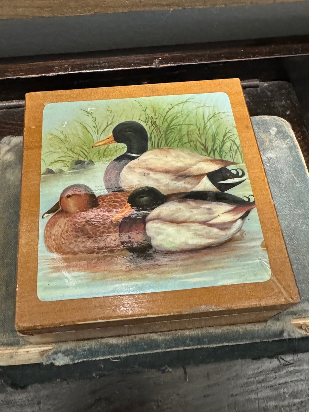 Vintage Set Of 6 Mallard Duck Coasters Cork Back in a Wooden Hinged Box